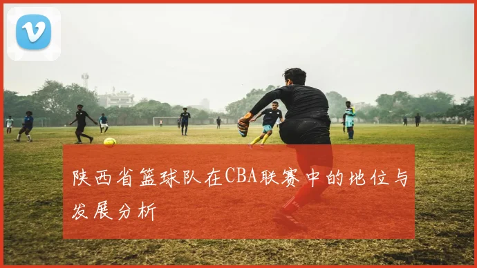 陕西省篮球队在CBA联赛中的地位与发展分析