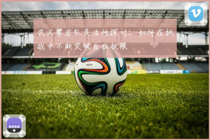 武汉攀岩队灵活性探讨：如何在挑战中不断突破自我极限